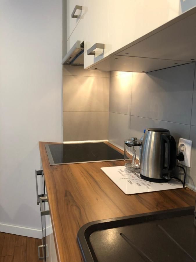 Апартаменты Loft Apartament 2 Пила-14