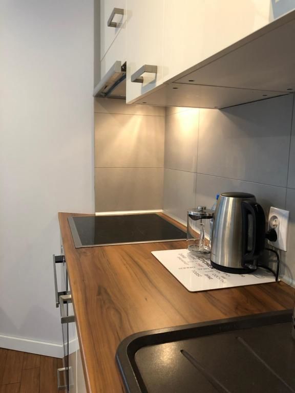 Апартаменты Loft Apartament 2 Пила-29