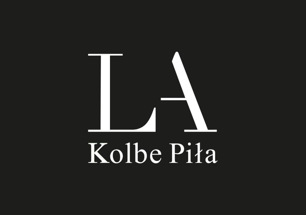 Апартаменты Loft Apartament 2 Пила-33
